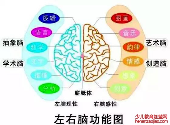 为什么大多数人用右手写字,为什么外国人用左手写字的多