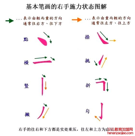 为什么大多数人用右手写字,为什么外国人用左手写字的多