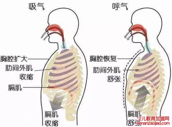 人为什么会岔气,岔气了怎么办