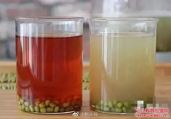 为什么绿豆不能做豆浆,绿豆做不成豆浆的原因