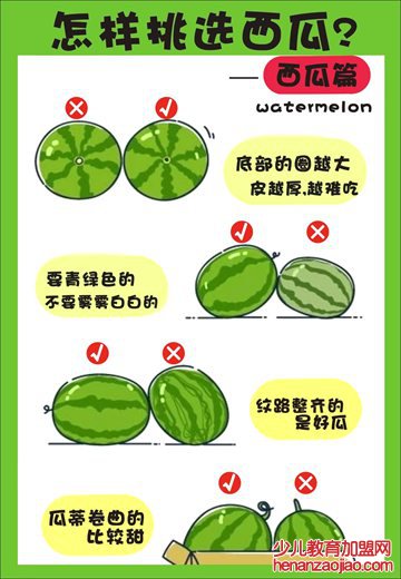 西瓜为什么叫西瓜,西瓜名字的由来