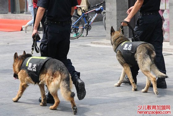 为什么警犬能追捕罪犯
