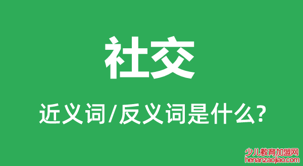 社交的近义词和反义词是什么,社交是什么意思