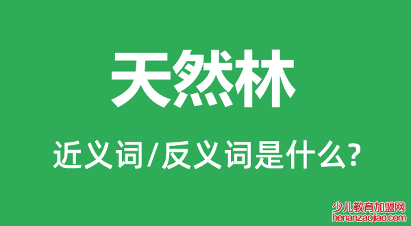 天然林的近义词和反义词是什么,天然林是什么意思