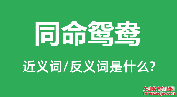 同命鸳鸯的近义词和反义词是什么,同命鸳鸯是什么意思