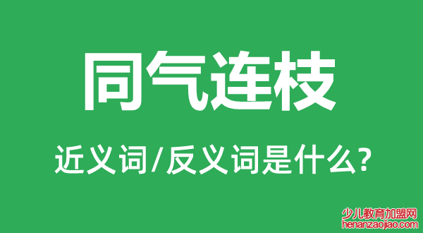 同气连枝的近义词和反义词是什么,同气连枝是什么意思