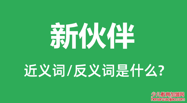 新伙伴的近义词和反义词是什么,新伙伴是什么意思