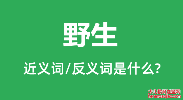 野生的近义词和反义词是什么,野生是什么意思