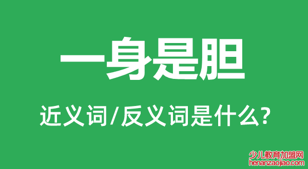 一身是胆的近义词和反义词是什么,一身是胆是什么意思