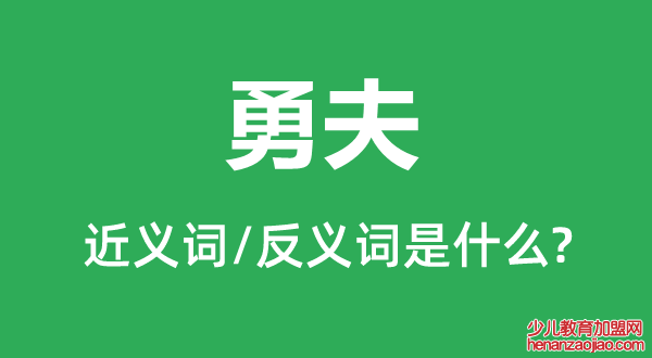 勇夫的近义词和反义词是什么,勇夫是什么意思