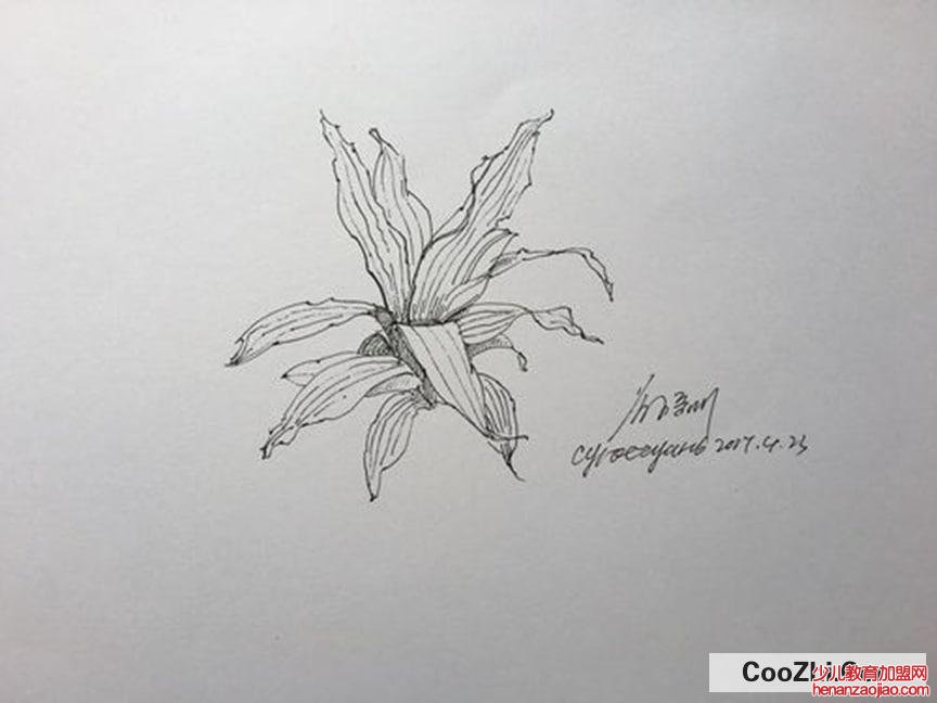 没有画画基础怎么自学