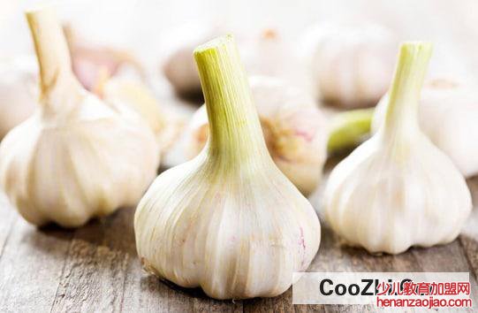 大蒜发芽了能不能吃