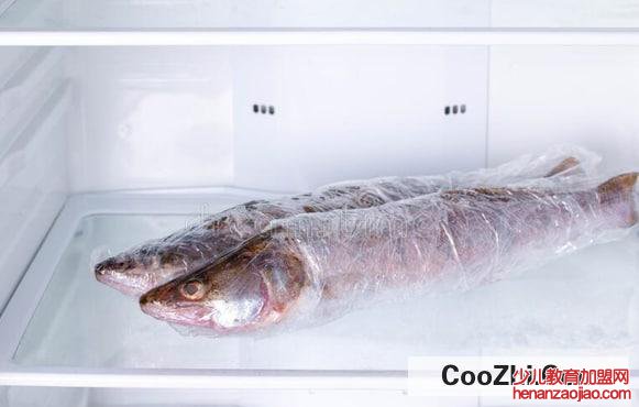 鲜鱼放冰箱保存新鲜吗
