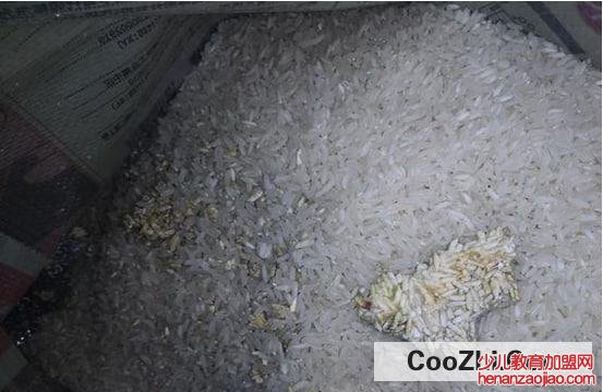 大米快发霉应该怎么处理