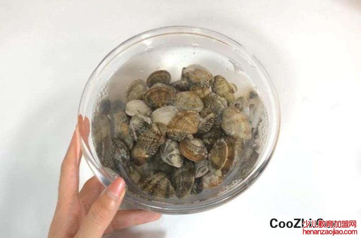 蛤蜊快速去沙的方法有哪些