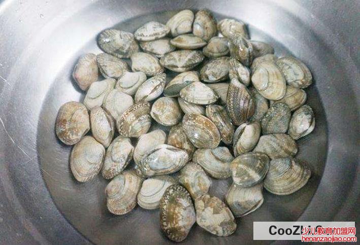 蛤蜊快速去沙的方法有哪些