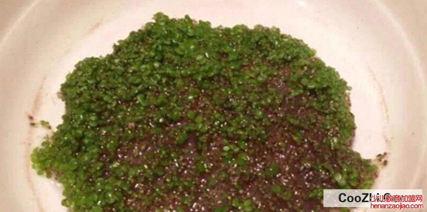 羊栖菜的使用方法有哪些