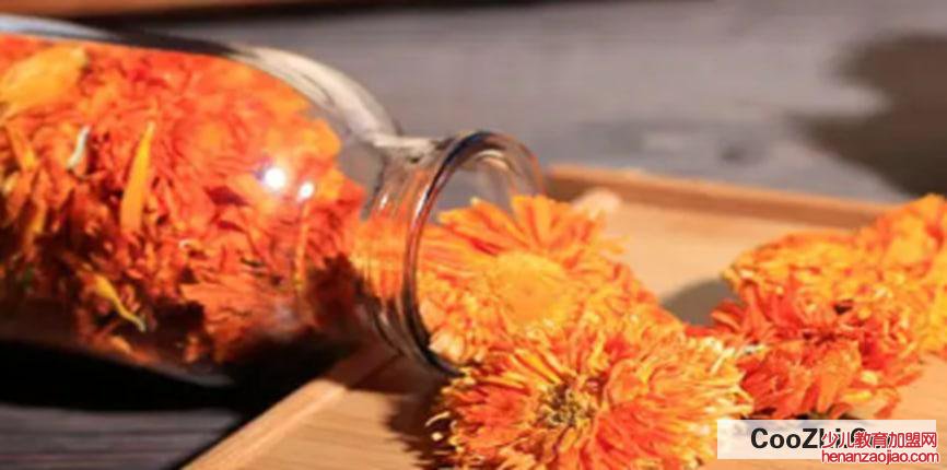金盏花茶有什么制作方法