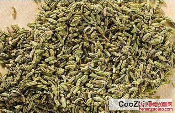 八角和茴香的功效作用