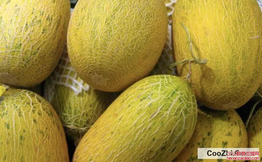 哈密瓜有什么保存方法