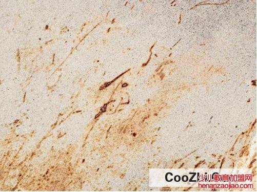 墙纸脏了怎么办