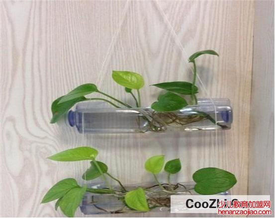 矿泉水瓶的五个妙用