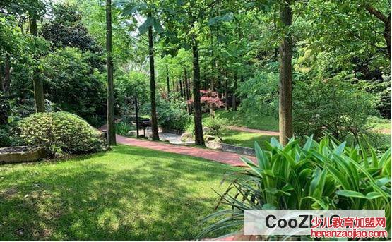 绿化率多少比较好