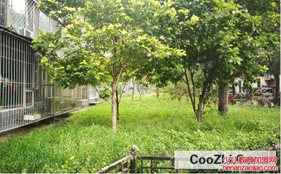 绿化率多少比较好