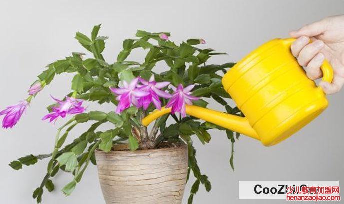 扣水和回水的区别