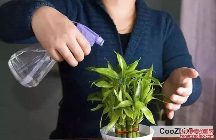 扣水和回水的区别