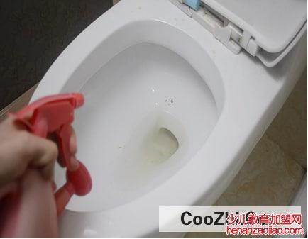 马桶滋生细菌