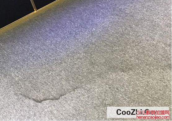 可乐弄到地毯上怎么办