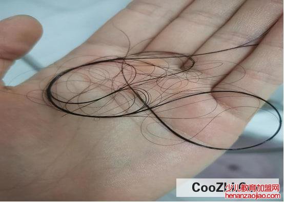 如何去除掉在居室内的头发