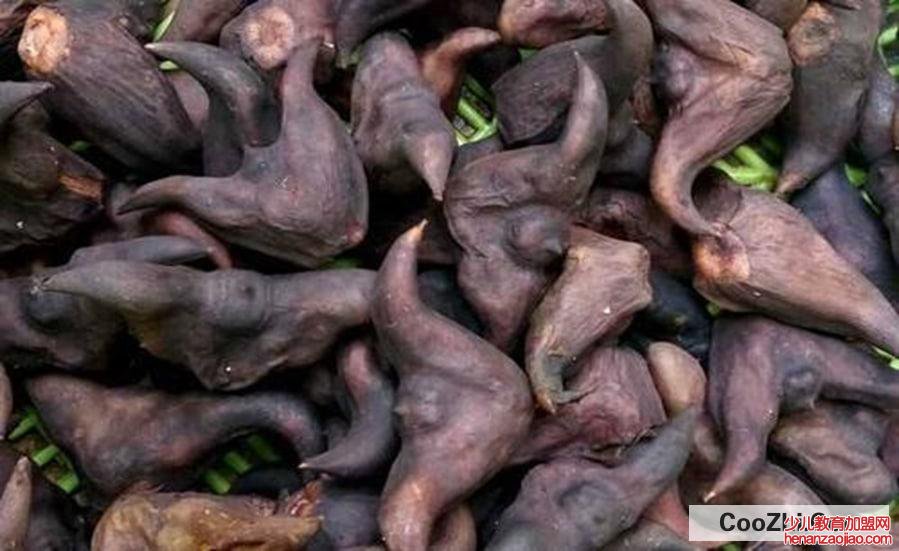 煮熟的菱角怎么保存时间长