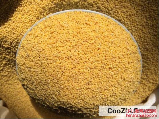 粮食小米哪里好