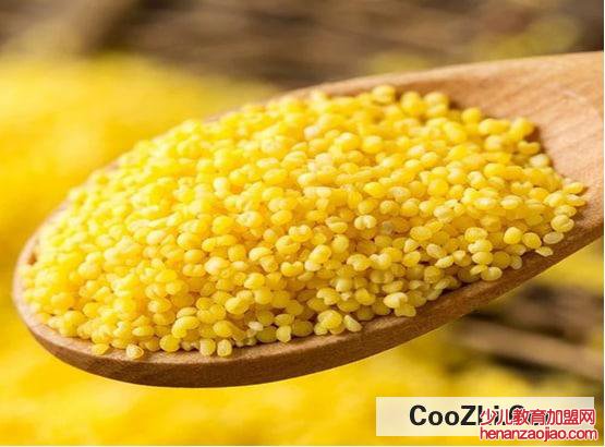 粮食小米哪里好