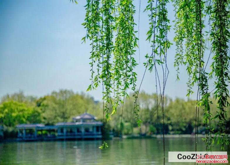 清明节有什么活动