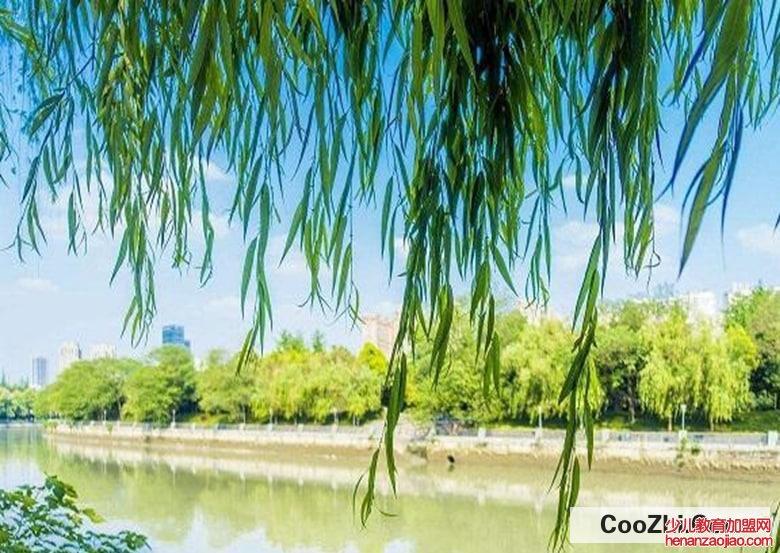 清明节有什么活动