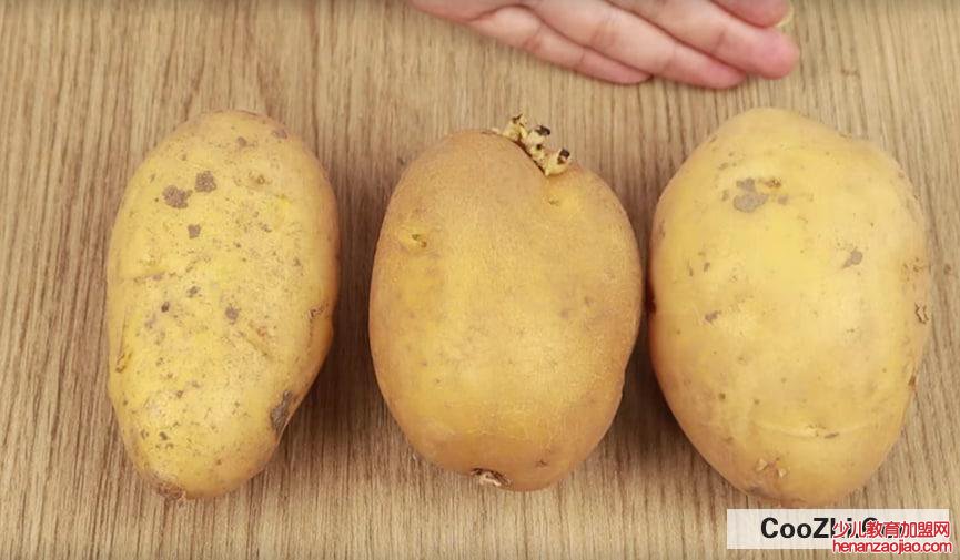 巧用发芽土豆的实用小妙招