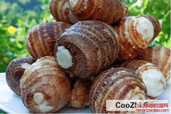 芋头怎么保存才不烂