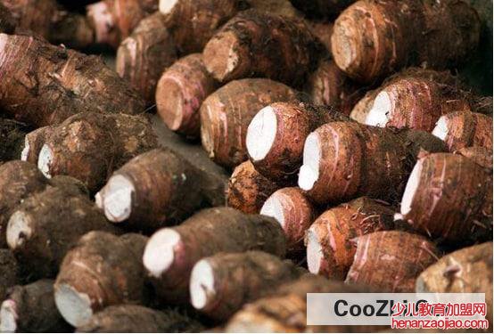 芋头怎么保存才不烂