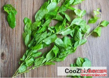 枸杞叶做成茶叶如何保存