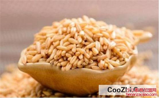 哪些食物可以帮助回奶