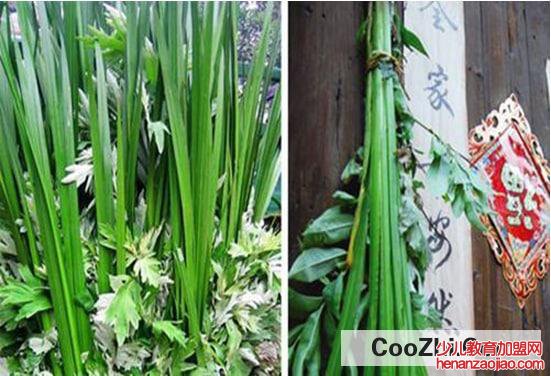 菖蒲怎么挂在门上