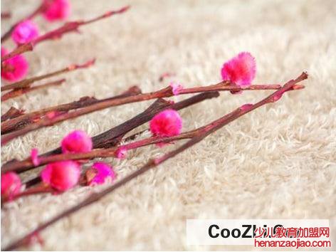 银柳发霉了处理措施