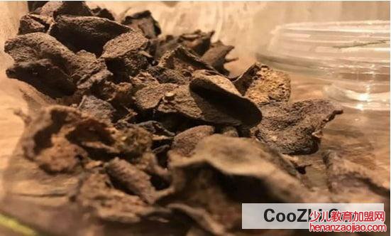 怎么存放买回来的陈皮