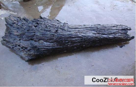 乌木可以做什么