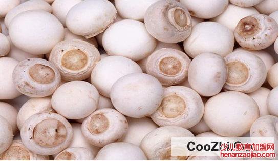 什么是鲜口蘑正确的保存方法