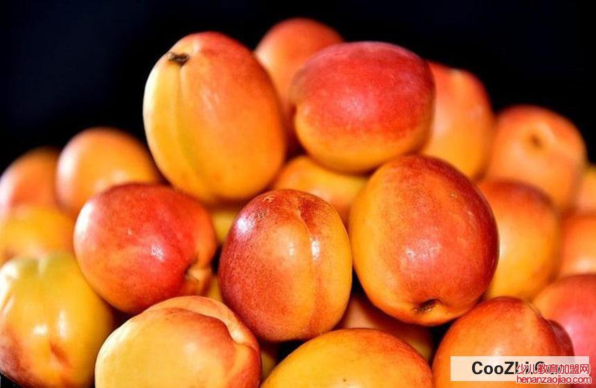 熟透的杏子该怎么保存