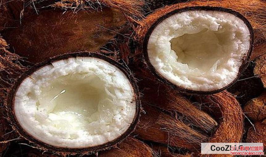 为什么椰子里面有水
